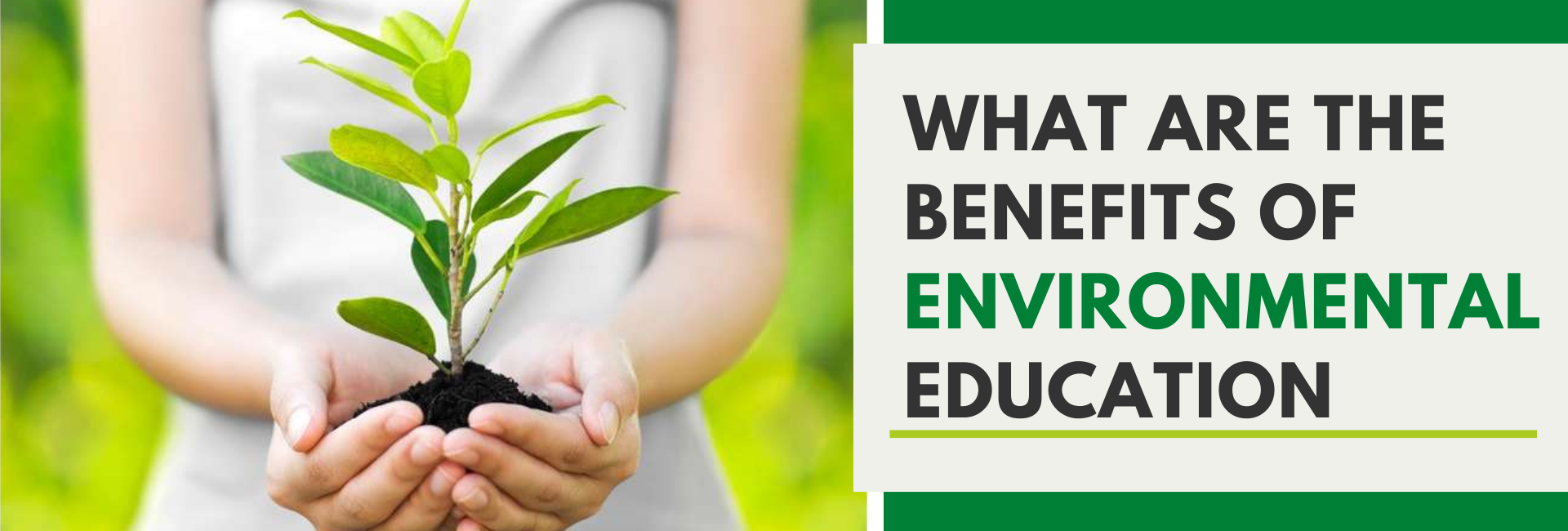 essay on importance of environmental education